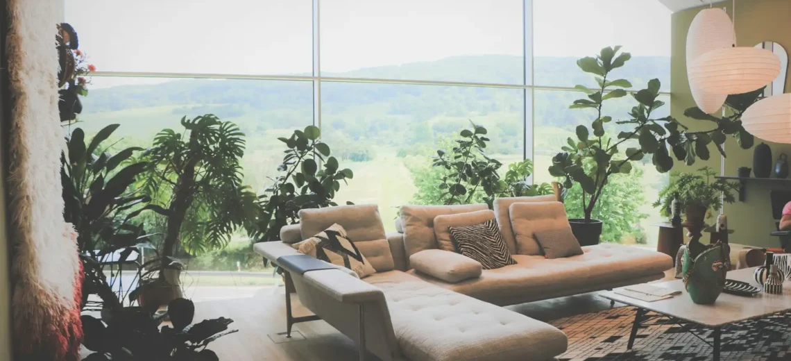 Living Room Indoor Plants That Look Like Decor (Not an Afterthought)