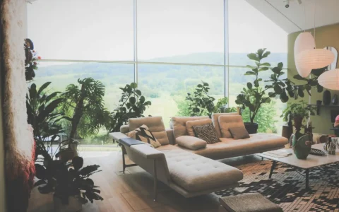 Living Room Indoor Plants That Look Like Decor (Not an Afterthought)